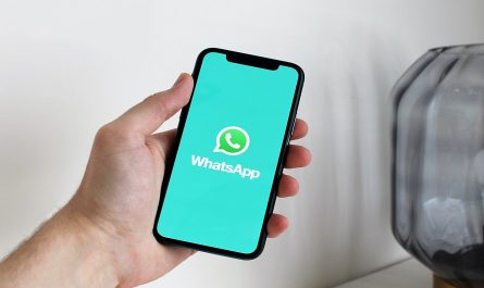 how to check deleted messages in Whatsapp