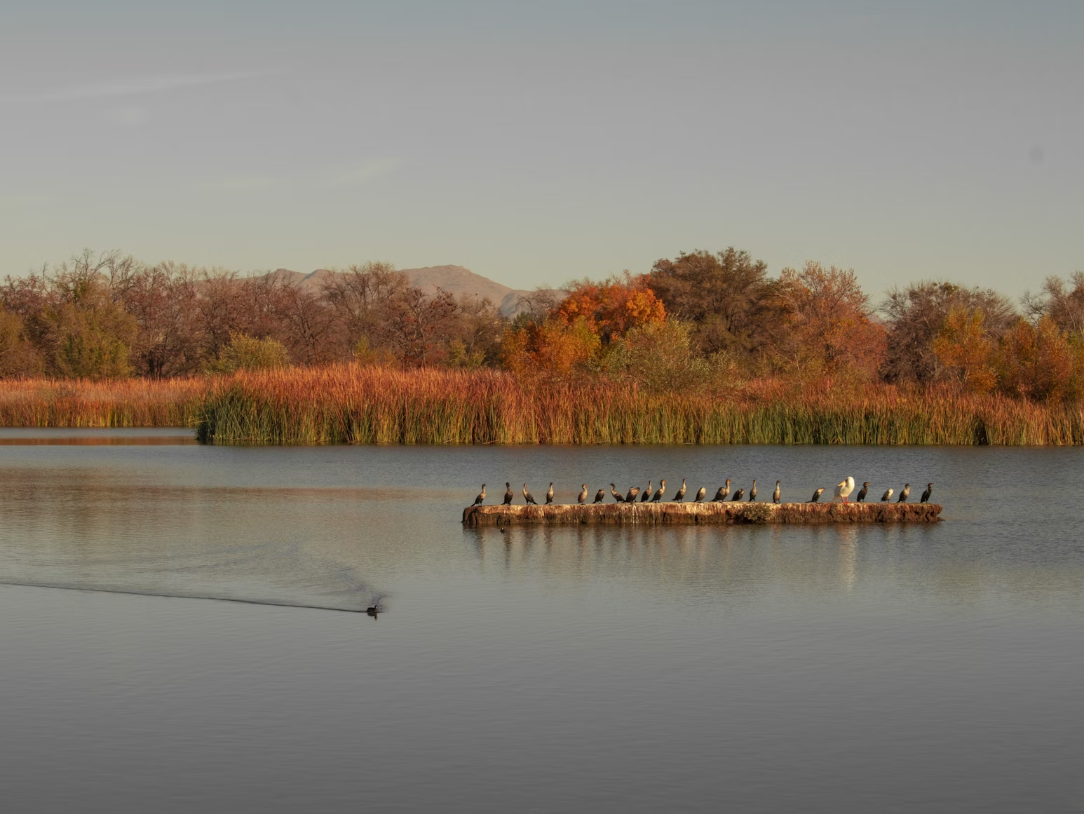 Experience the High Desert’s Hidden Gems in Victorville, California