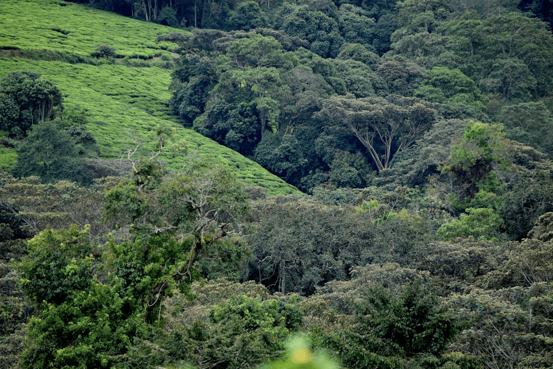 Burundi: A Hidden Gem in the Heart of Africa