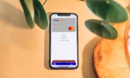 Navigating the Pros and Cons of Credit Card Loyalty Programs