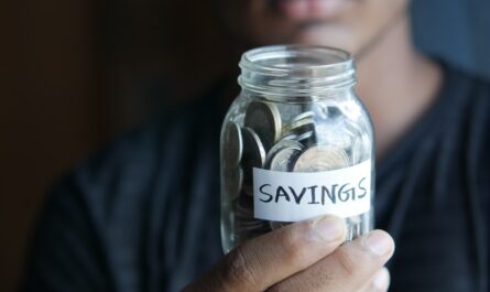 Maximise Savings on Electronics This Holiday Season