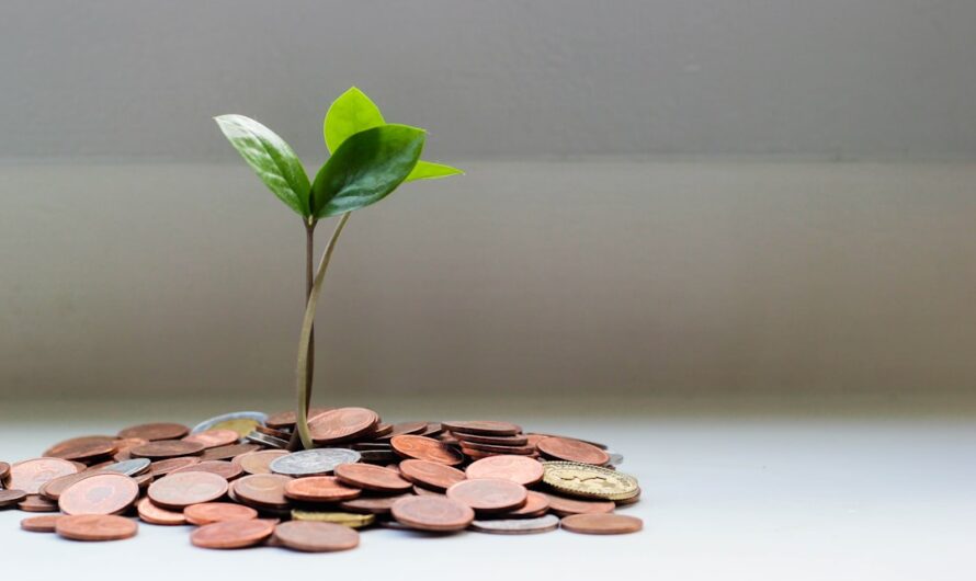 How Business Credit Cards Can Fuel Your Startup’s Growth