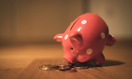 Maximising Returns: A New Investor’s Guide to Top Fixed Deposit (FD) Rates in India