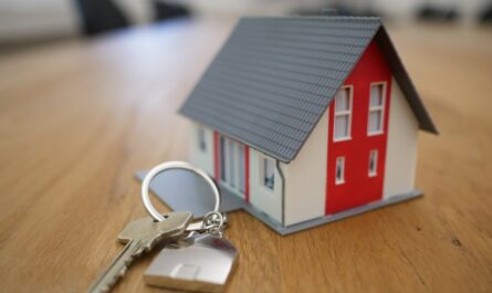 NRI Home Loan vs Normal Home Loan: Decoding the Differences