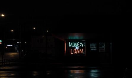 Navigating Short-Term Financial Needs: Types of Short-Term Loans in India