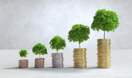 Handle Your Finances Better with Fixed Credit Limits