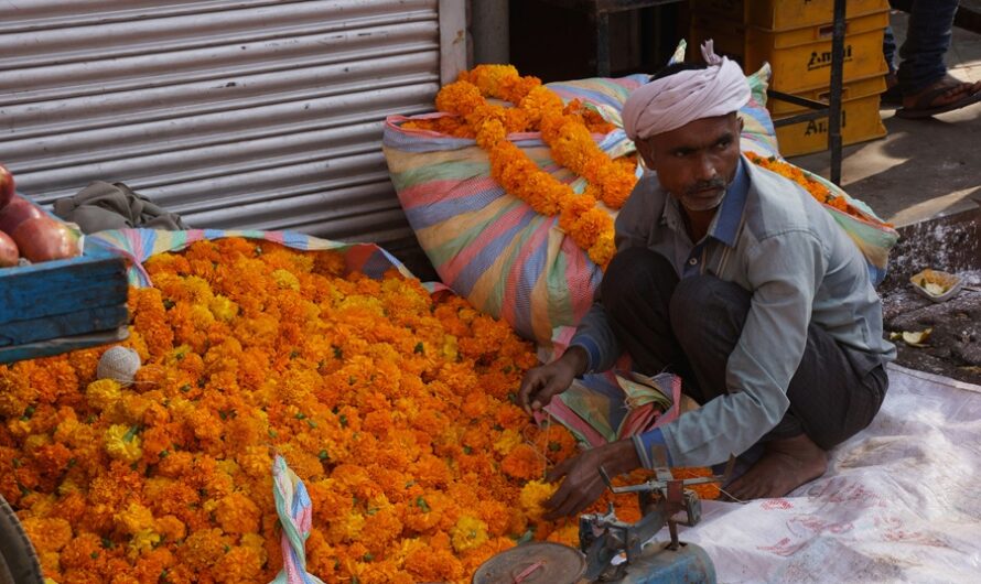 PM SVANidhi Scheme: Complete Street Vendor Loan Guide