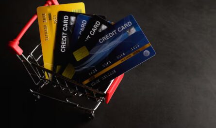 Student Credit Card vs Regular: Which Fits You?