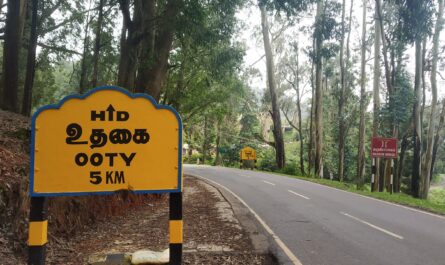 The Best Time to Visit Ooty is When You Have Amazing Credit Card Offers!
