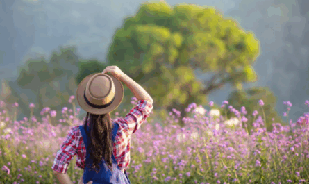 Spring Getaways Made Cheaper: Credit Cards That Maximise Your Rewards