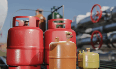 Pradhan Mantri Ujjwala Yojana 2.0: Fuelling a Cleaner, Healthier India