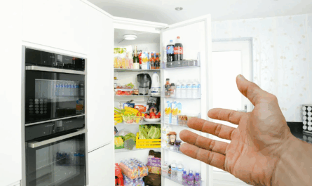 Best Refrigerators in India for Small and Large Families