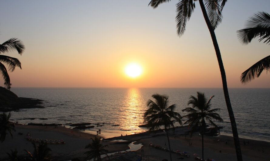 Best Beaches in Goa, India: Your Ultimate Guide