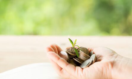 Settlement vs. Restructure of Loan: Complete Guide