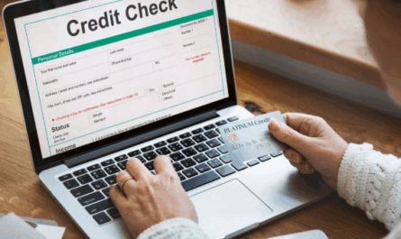 Credit Background Check for Loan Approval