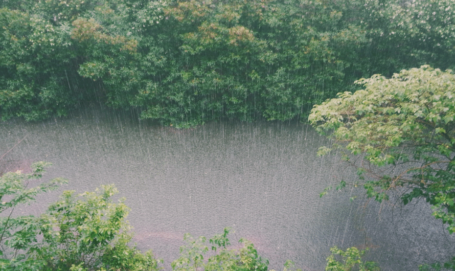 Monsoon Getaways in India: Your Perfect Holiday Guide