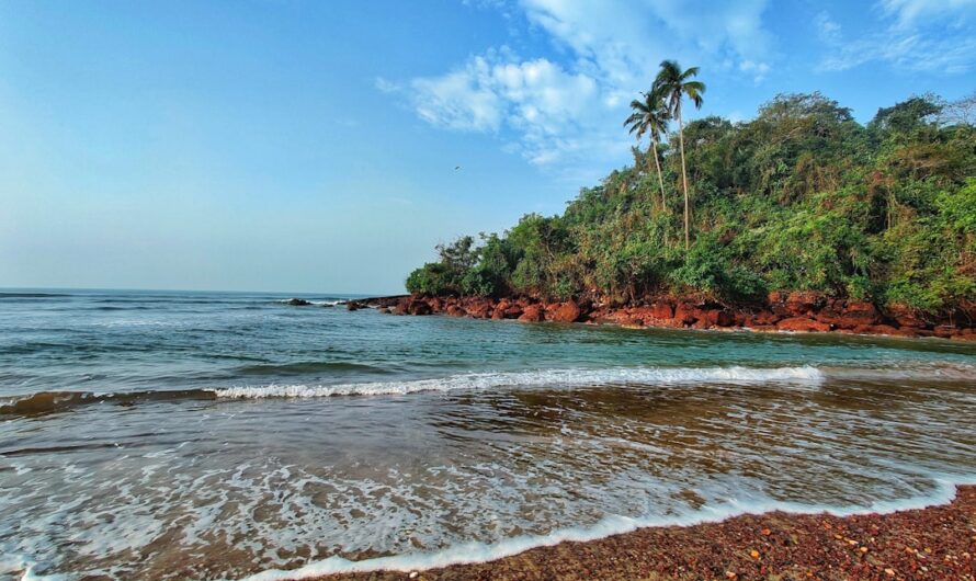 Best Beaches in Kerala: Top Coastal Spots for Perfect Coastal Holidays