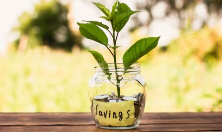 What is a Green Deposit? Meaning, Features, Benefits & How It Works