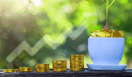 List of Gold Loan Companies in Kerala: Top Options for Borrowers