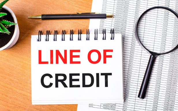 Line of Credit Vs Business Loan: Which Is Better for Your Business?